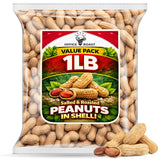 Peanuts In Shell | 1 LB Bulk Value Pack | Roasted & Salted - Healthy natural snack, Perfect for office, share and TO-GO - Crunchy Whole Peanuts