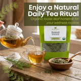 Biokoma Organic Horsetail Herb Tea 50g (Shavegrass) - Supports Healthy Hair, Skin and Nails - USDA Certified Organic Loose Dried Leaves in Resealable