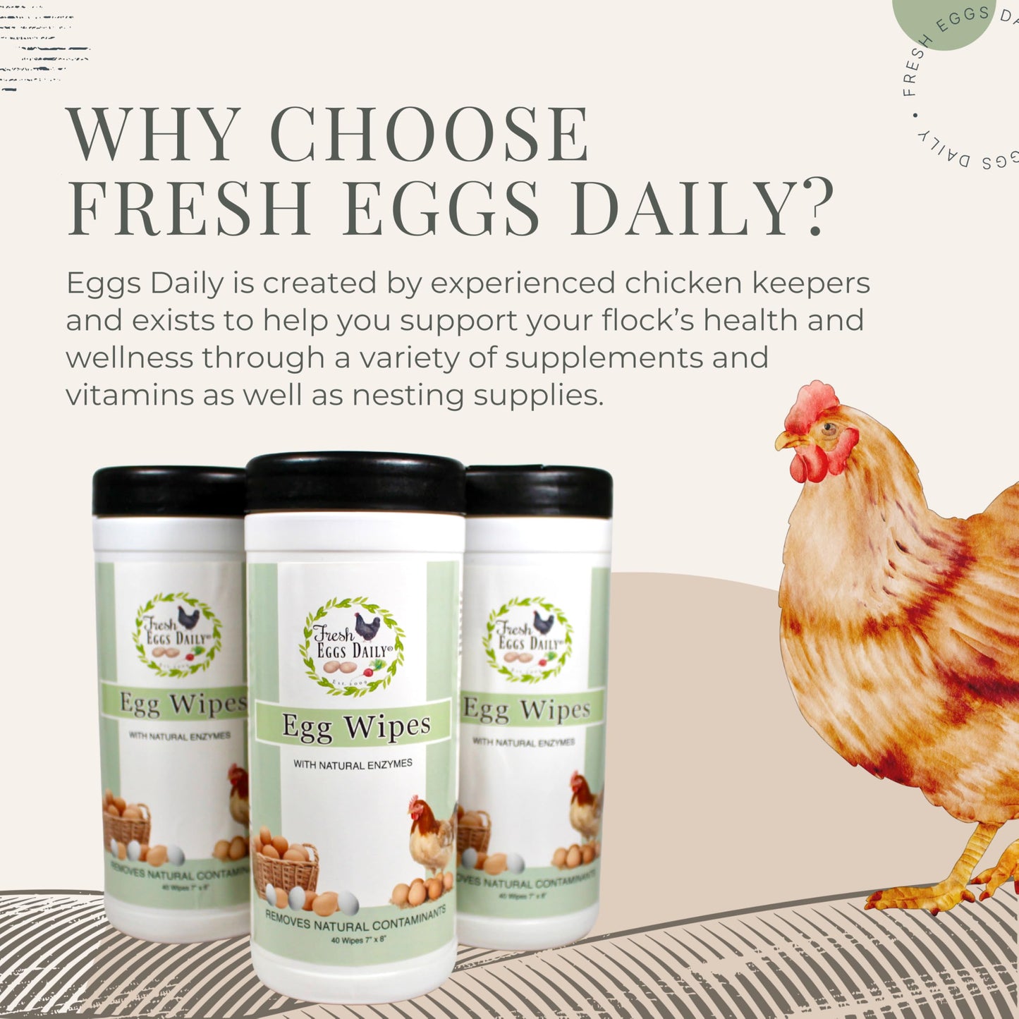 Fresh Eggs Daily Egg Wipes - Enzyme-Based Egg Cleaner for Backyard Chickens, No Rinse Needed, Natural Enzyme Formula - 40 Natural Cleaning Wipes