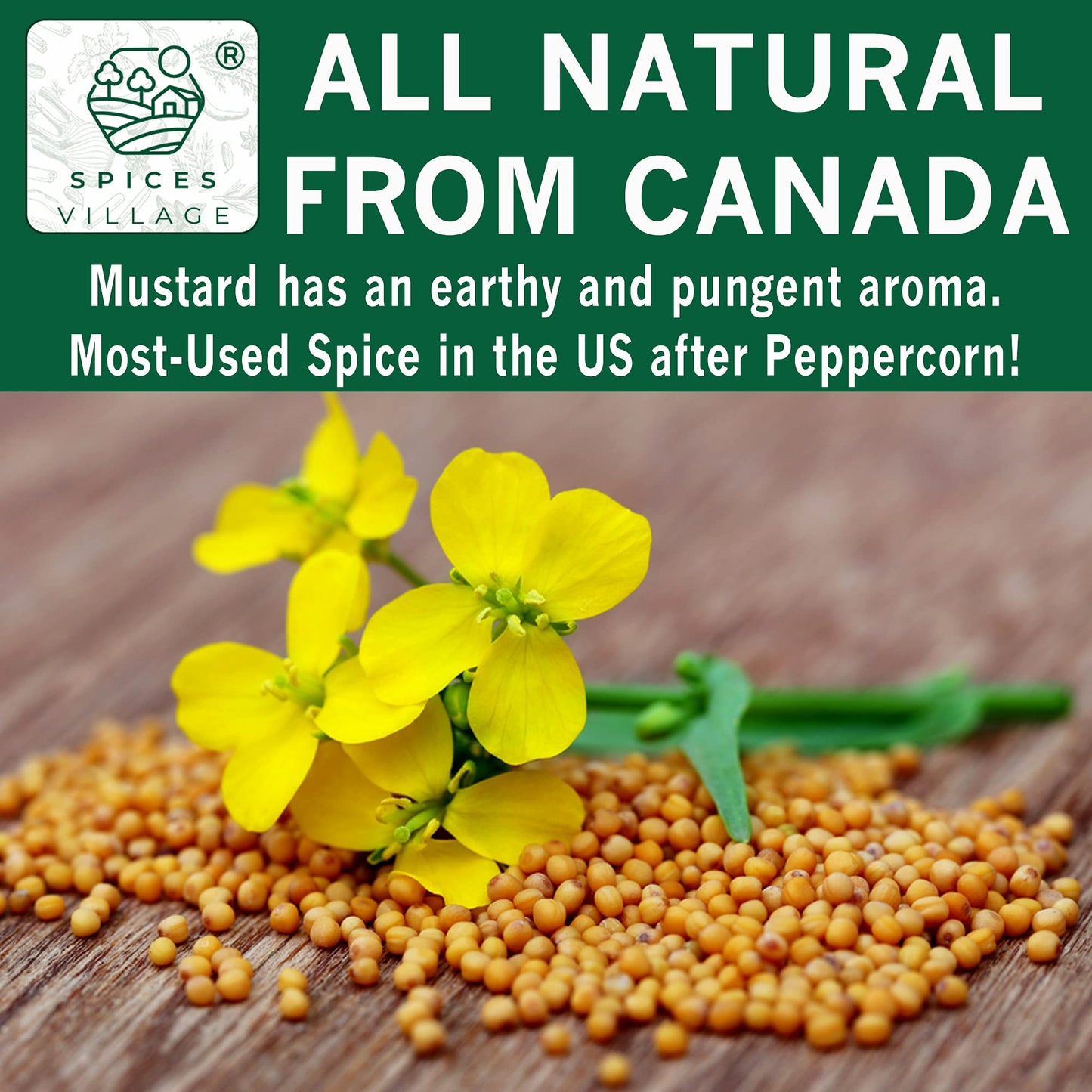 Spices Village Yellow Mustard Seeds, Whole Mustard Seeds for Pickling, All Natural & Dry Mustard Seasoning, 8 Ounces, Great for Culinary - Kosher