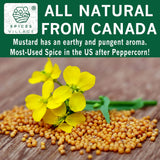 Spices Village Yellow Mustard Seeds, Whole Mustard Seeds for Pickling, All Natural & Dry Mustard Seasoning, 8 Ounces, Great for Culinary - Kosher