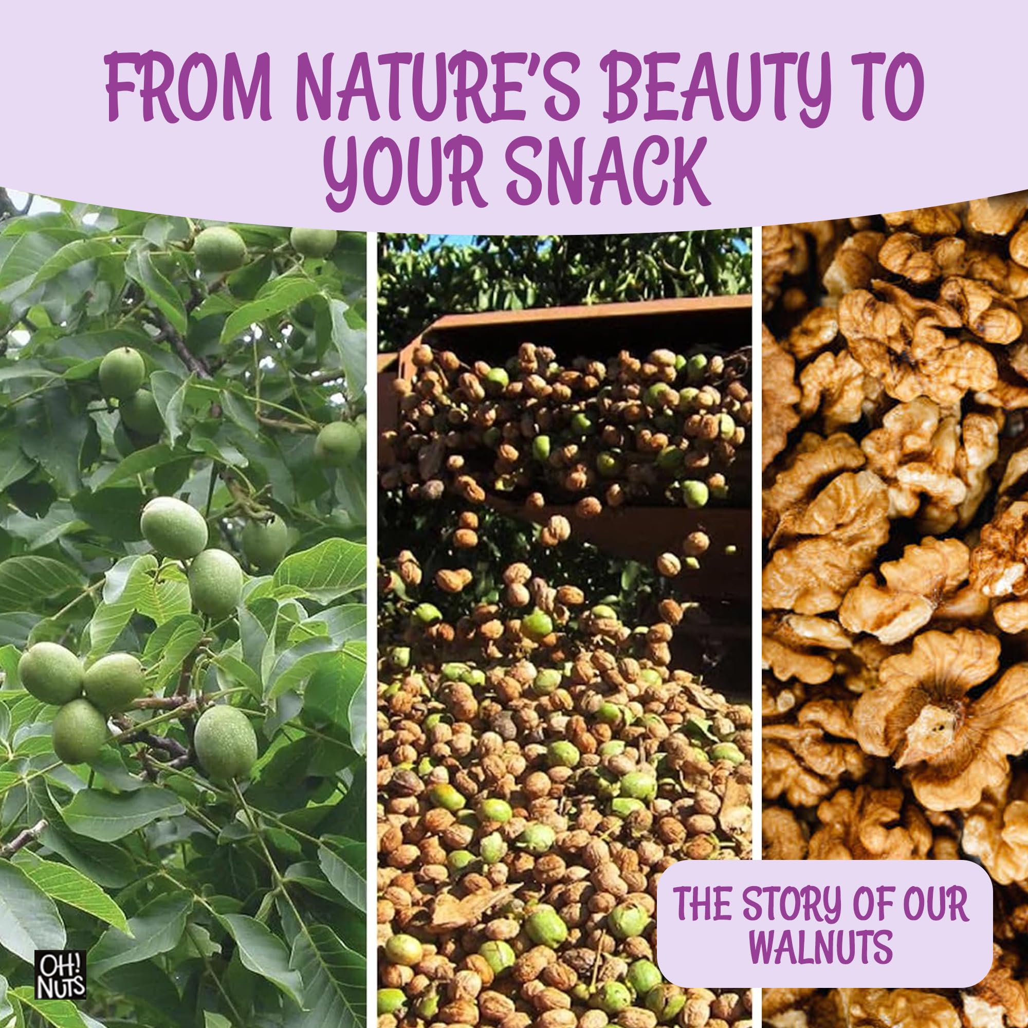 Oh! Nuts Organic Raw Walnuts 2lb Bulk Bag - Unshelled Healthy Mix of Chandler Halves & Pieces - Fresh & Healthy Keto Snacks - Chopped Nuts for Vegan