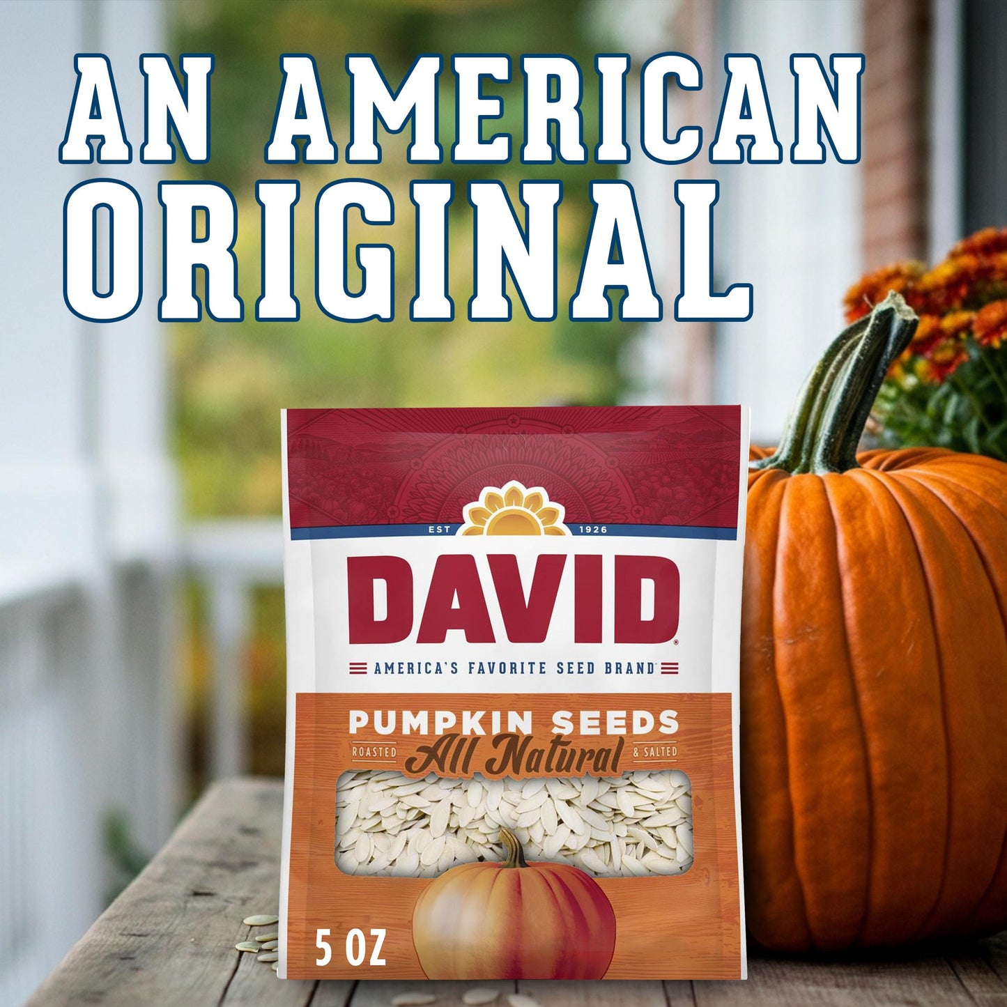 DAVID All Natural Pumpkin Seeds, 5 oz.
