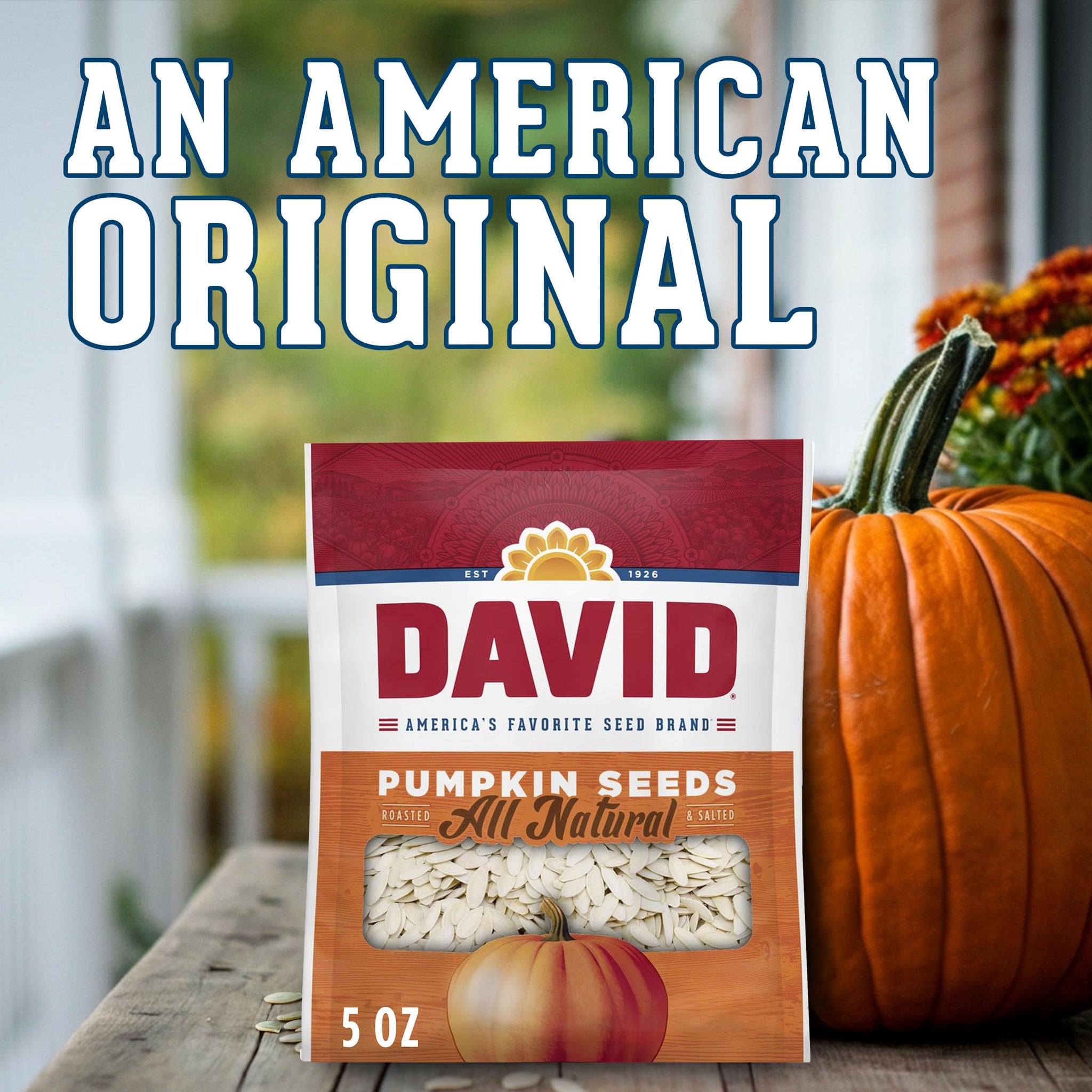 DAVID All Natural Pumpkin Seeds, 5 oz.