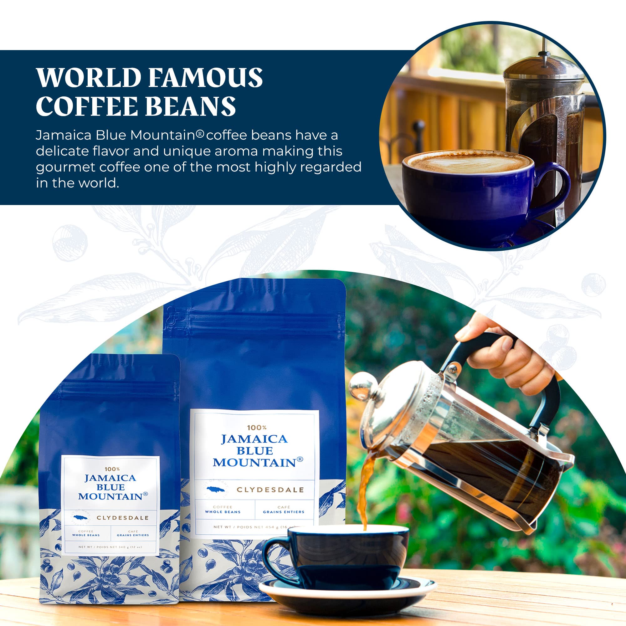 JA Coffee - 100% Jamaica Blue Mountain Coffee, Medium Roast, Whole Beans - Premium Arabica, Bag of 454 grams (1 Pound - 16 ounces)