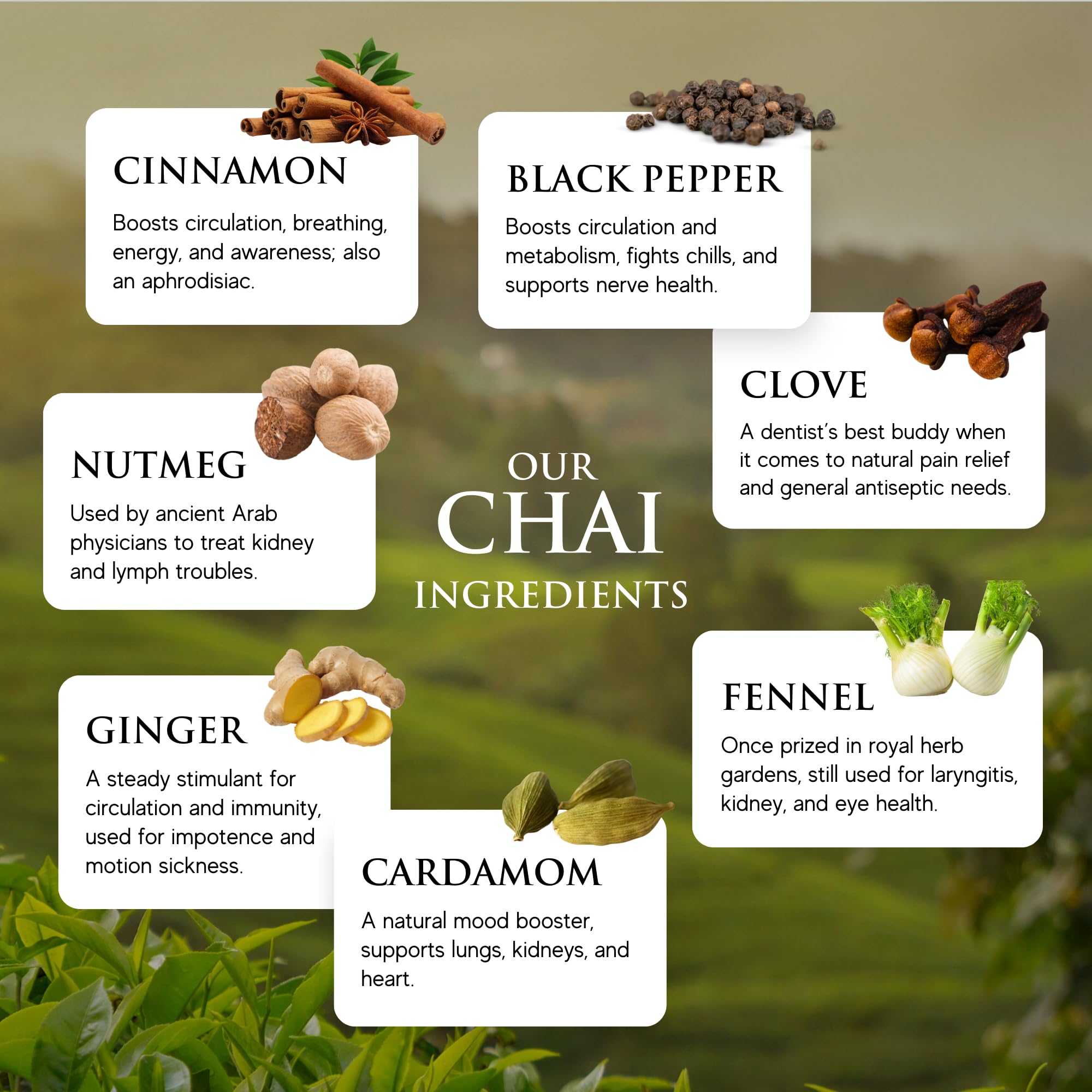 Third Street Inc Organic Dragon Tongue Ginger Chai Concentrate 6-Pack, 32 Fl. Oz., Black Tea Latte Concentrate, Generously Spiced Tea Blend