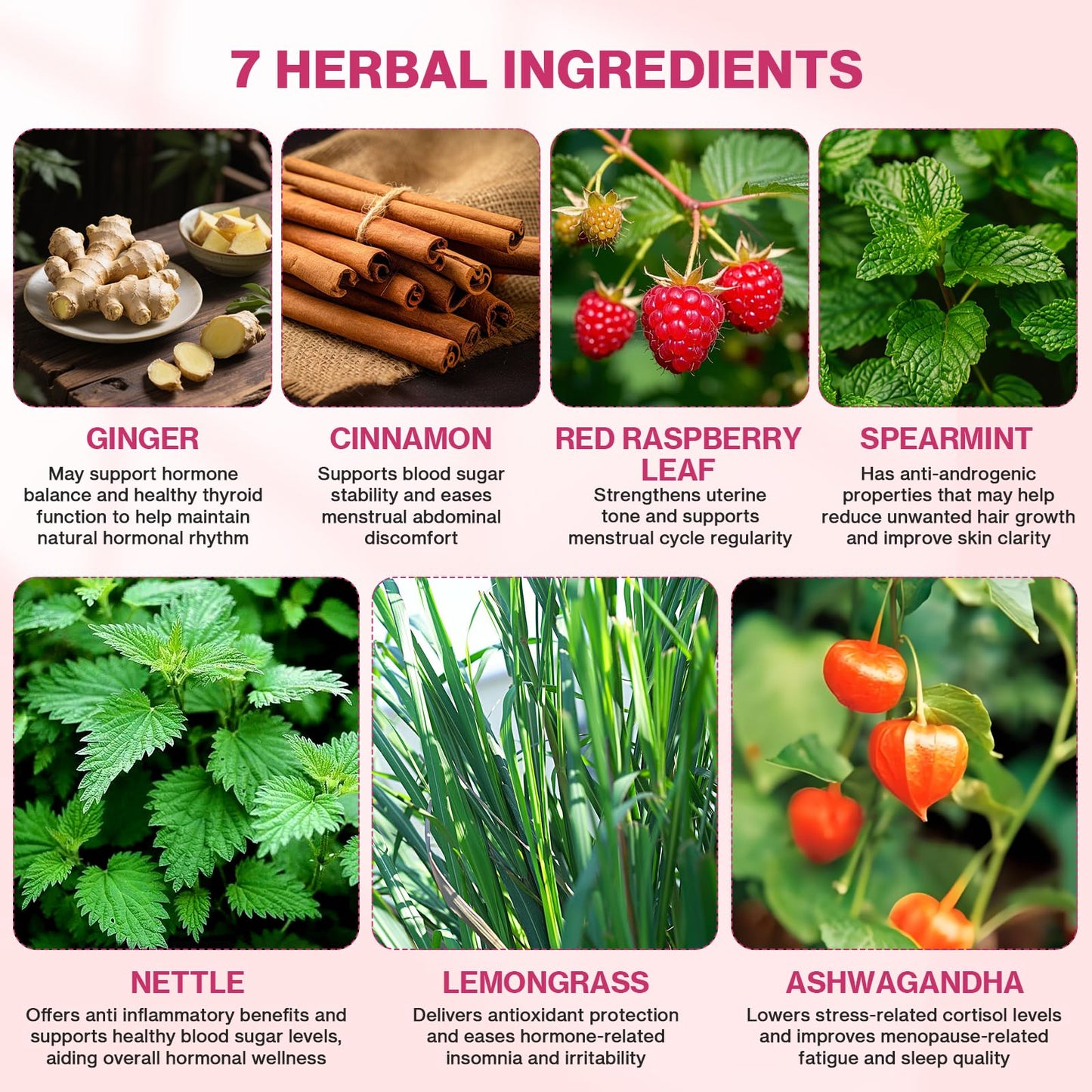 Lifebooil Hormone Balance Tea for Women | Caffeine-Free Herbal Tea with 7 Herbal Ingredients (Red Raspberry Leaf, Spearmint, Nettle, Ginger & More) |