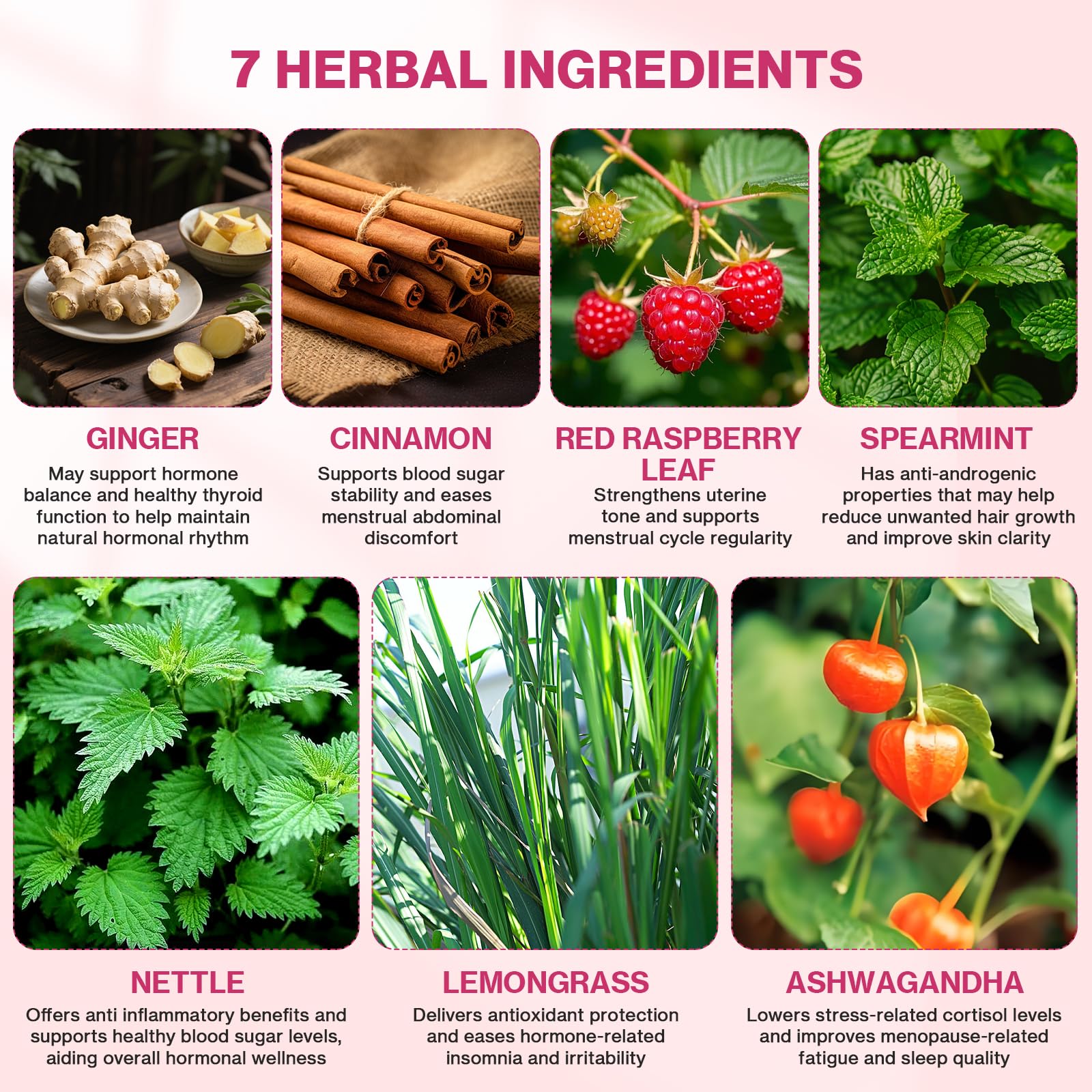 Lifebooil Hormone Balance Tea for Women | Caffeine-Free Herbal Tea with 7 Herbal Ingredients (Red Raspberry Leaf, Spearmint, Nettle, Ginger & More) |