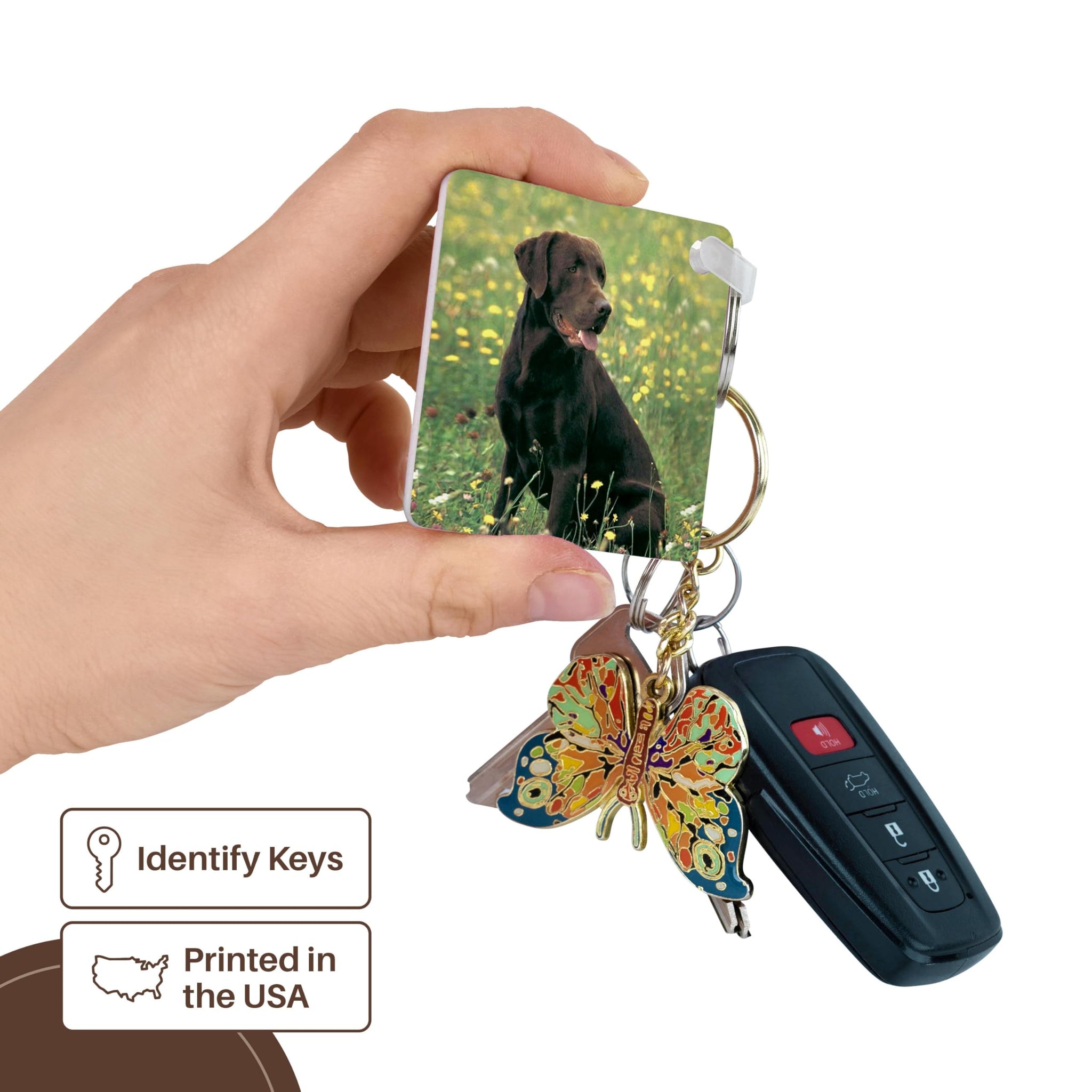3dRose Chocolate Labrador Retriever Gift Set - Includes Mug, Keychain, and Card - Ideal Gift for Dog Lovers, Birthdays, and Holidays