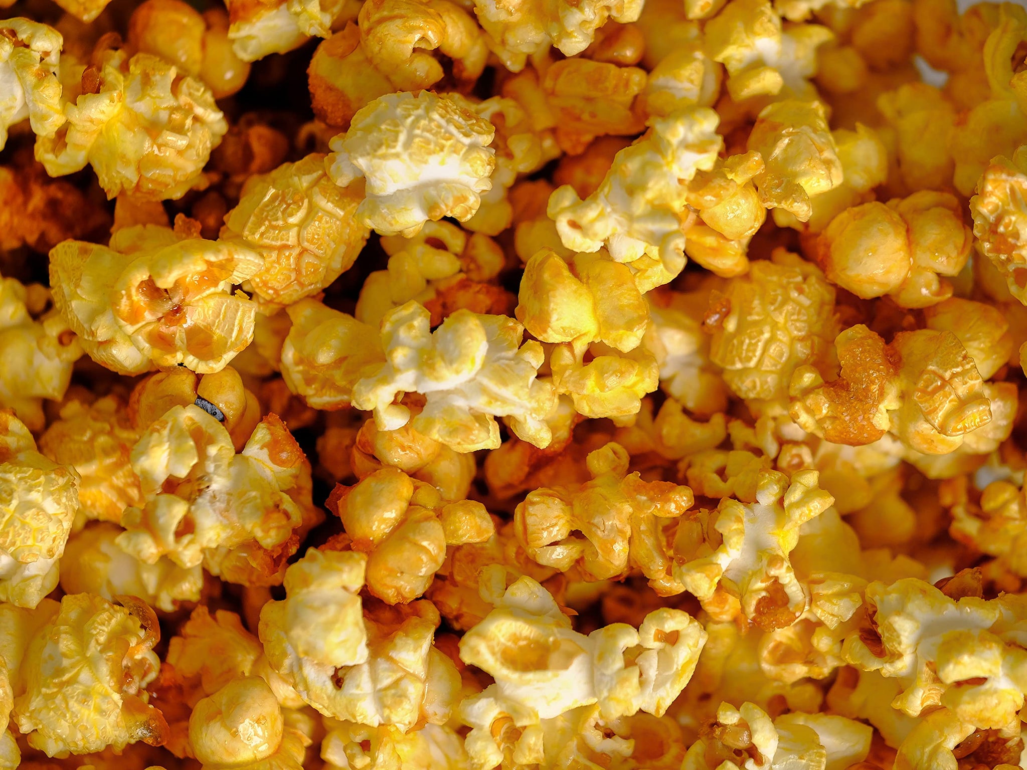 Amish Country Popcorn | 12 Pack Mixed Seasoning Bundle