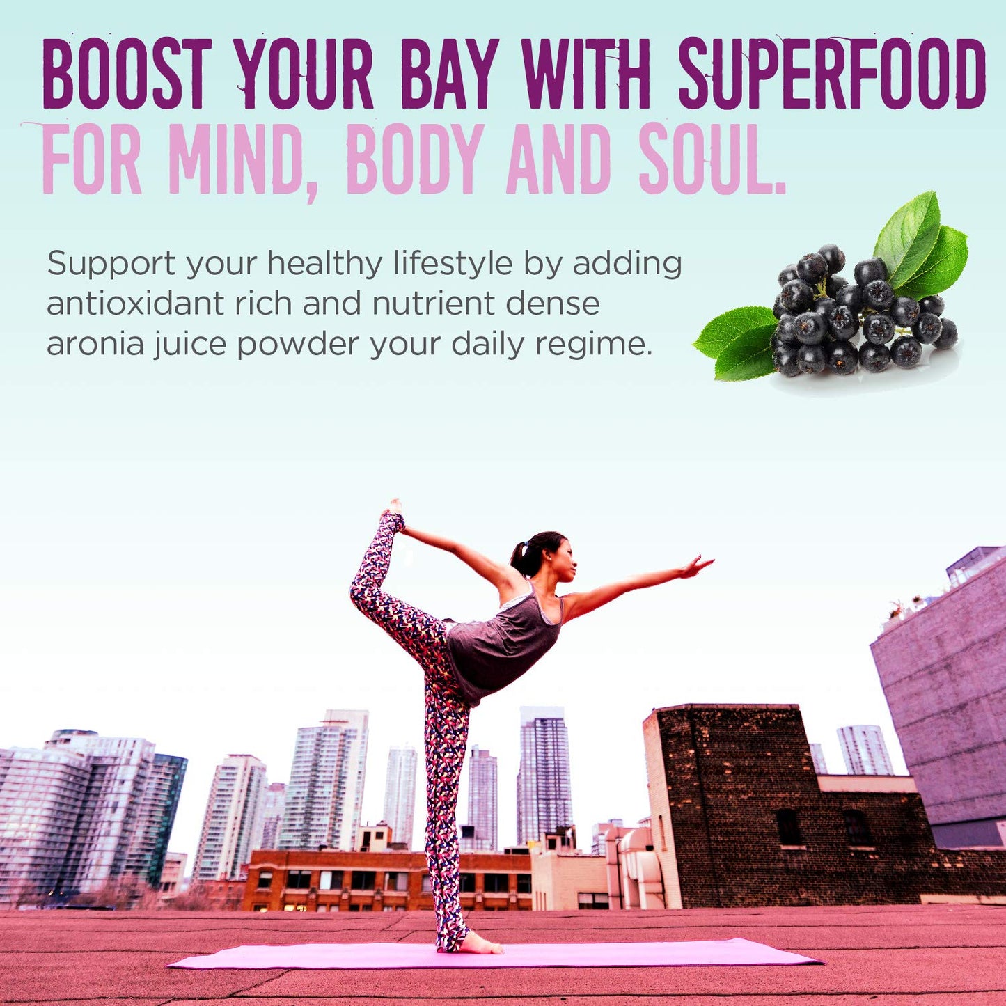 Alovitox Aronia Berry Powder | Antioxidant-Dense Juice Superfood with Dietary Fiber, Vitamins, Calcium, Iron, Boosts Immune System & Reduces Blood
