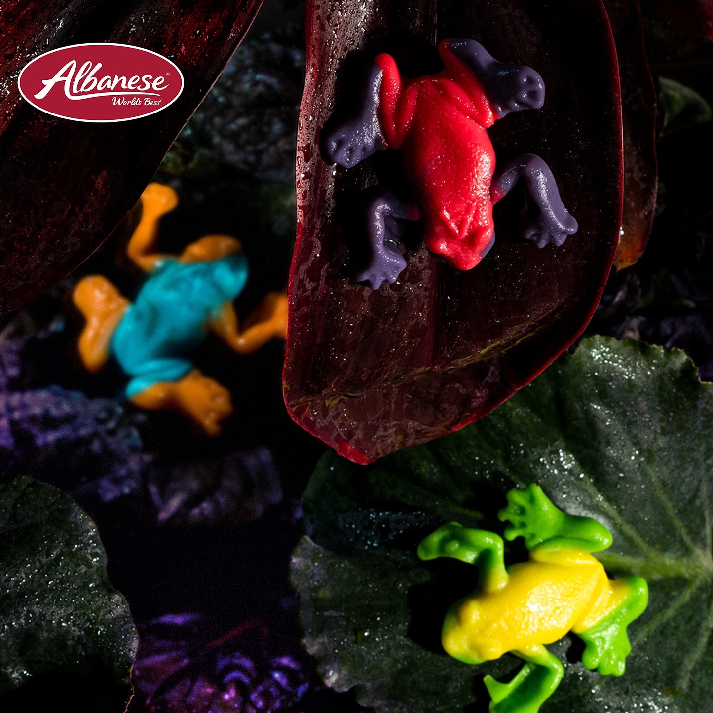 Albanese Candy, Gummi Rainforest Frogs, 5-pound Bag