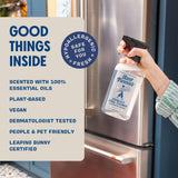 Aunt Fannie's Stainless Steel Spray Cleaner, Powered by Vinegar, Fingerprint and Residue Remover for Refrigerator, Dishwasher, Oven, Grill, Sink
