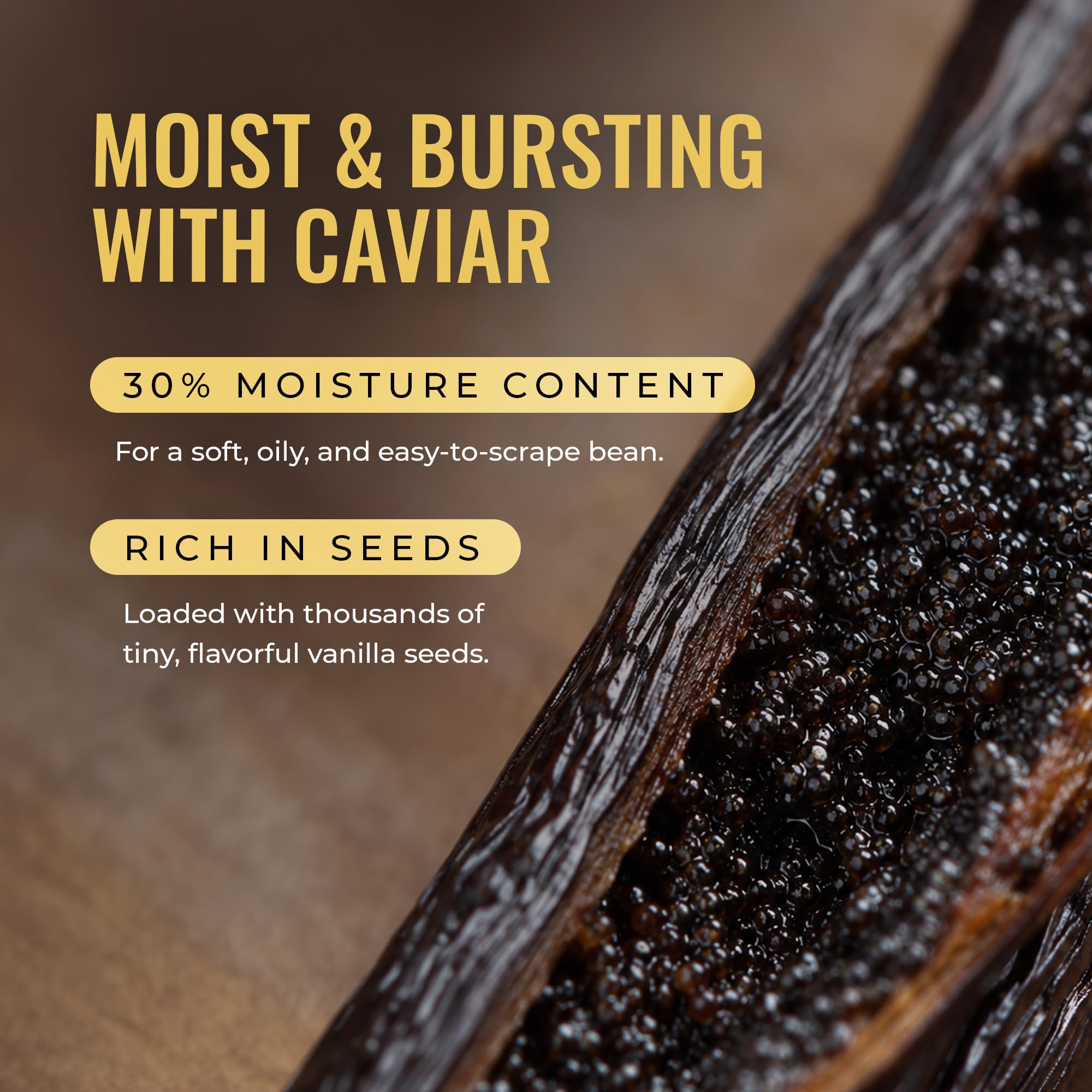5Senses Uganda Vanilla Beans | Grade A Gourmet Whole Pods | Single Origin (Rwenzori Valleys) | High Vanillin (~2.5%) & Moisture (~30%) | 17-19cm Long