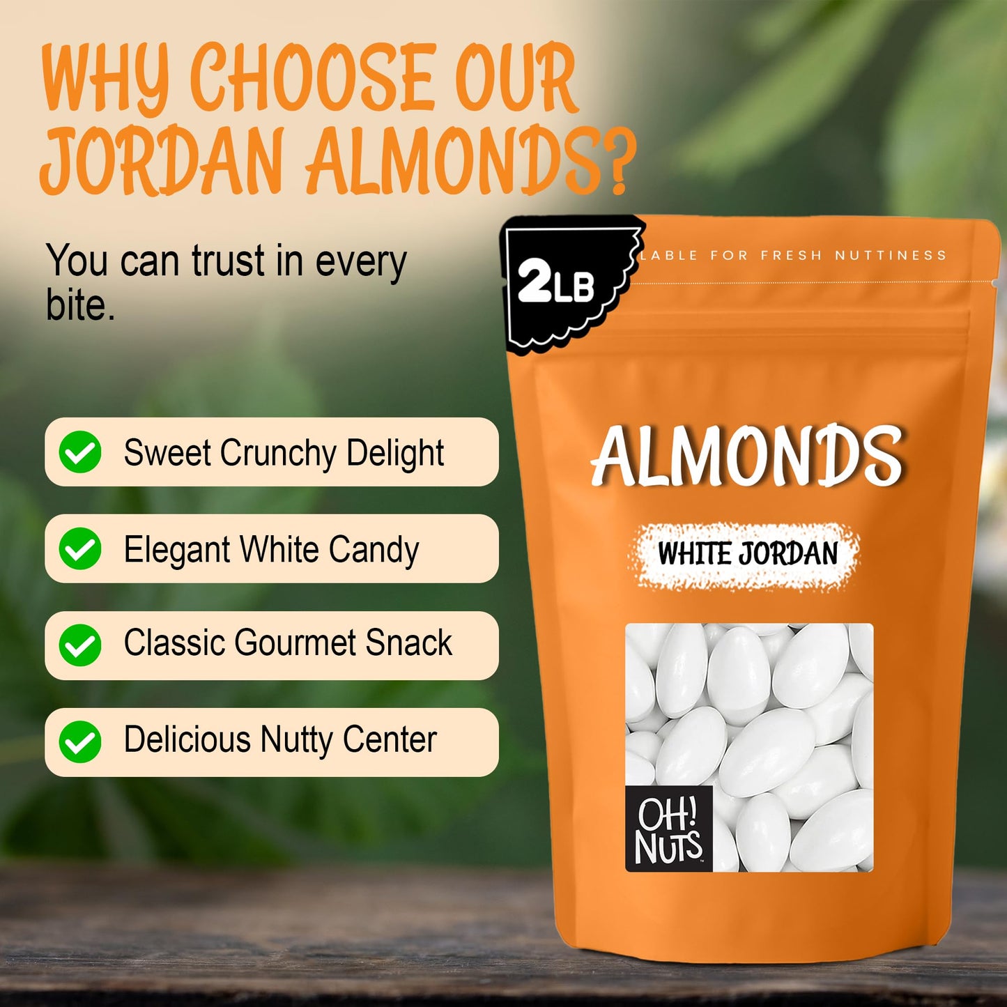 Oh! Nuts White Jordan Almonds - 2 lb - For Easter, Weddings, Baby Showers & Birth - Packed in New York Zip-Seal Bag for Exceptional Freshness