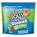 Jolly Rancher Misfits Assorted Sours Gummies, 355g/12.4 oz, Sharing Bag, Imported from Canada)