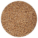 Spelt Berries, 1.5 Pound Bulk Bag, Hampton Distribution