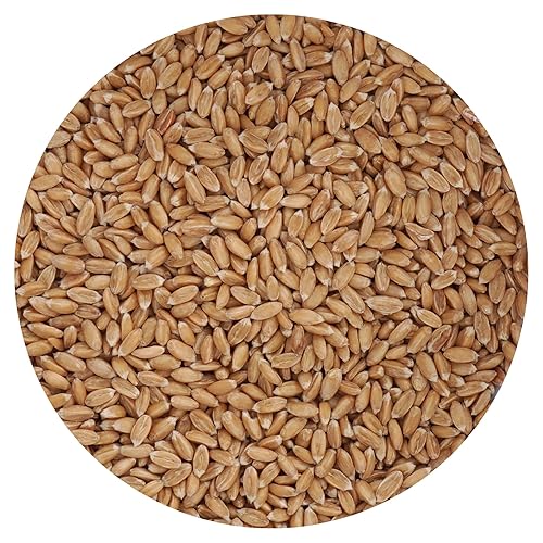 Spelt Berries, 1.5 Pound Bulk Bag, Hampton Distribution