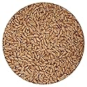 Spelt Berries, 1.5 Pound Bulk Bag, Hampton Distribution