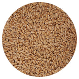 Spelt Berries, 1.5 Pound Bulk Bag, Hampton Distribution