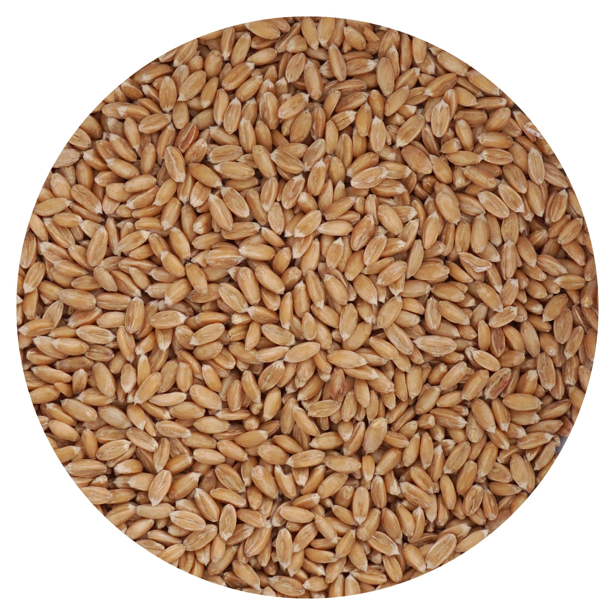 Spelt Berries, 1.5 Pound Bulk Bag, Hampton Distribution