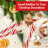 Peppermint Candy Cane Spoons Dye-Free - Pack of 12 Individually Wrapped Christmas Peppermint Flavored Hot Chocolate Spoons - Festive Holiday Treats