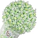 Variety Gourmet Saltwater Taffy (Key Lime, 5 LB)