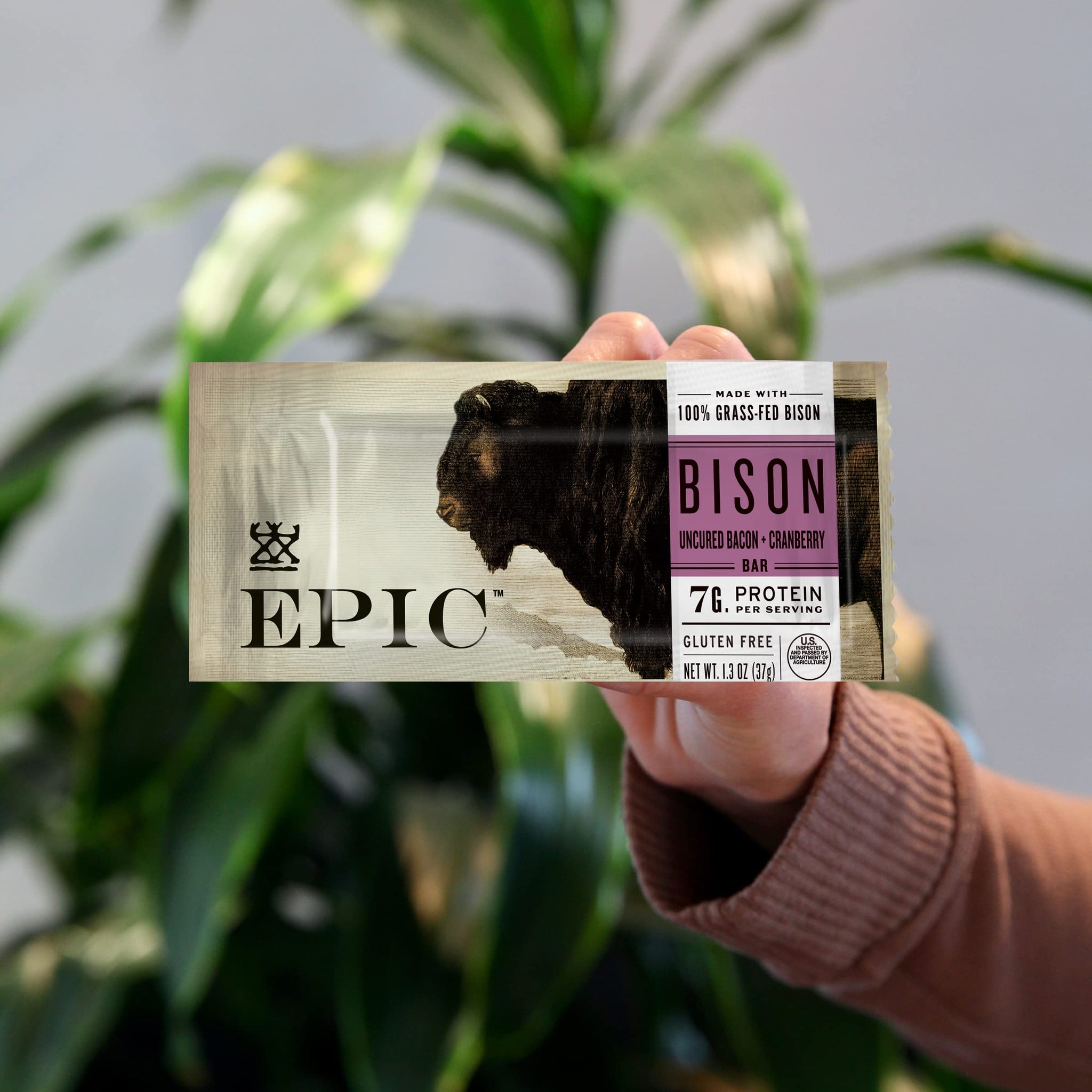 EPIC Bison Uncured Bacon and Cranberry Bars, Grass-Fed, Protein Bar, 12 Ct, 15.6 oz