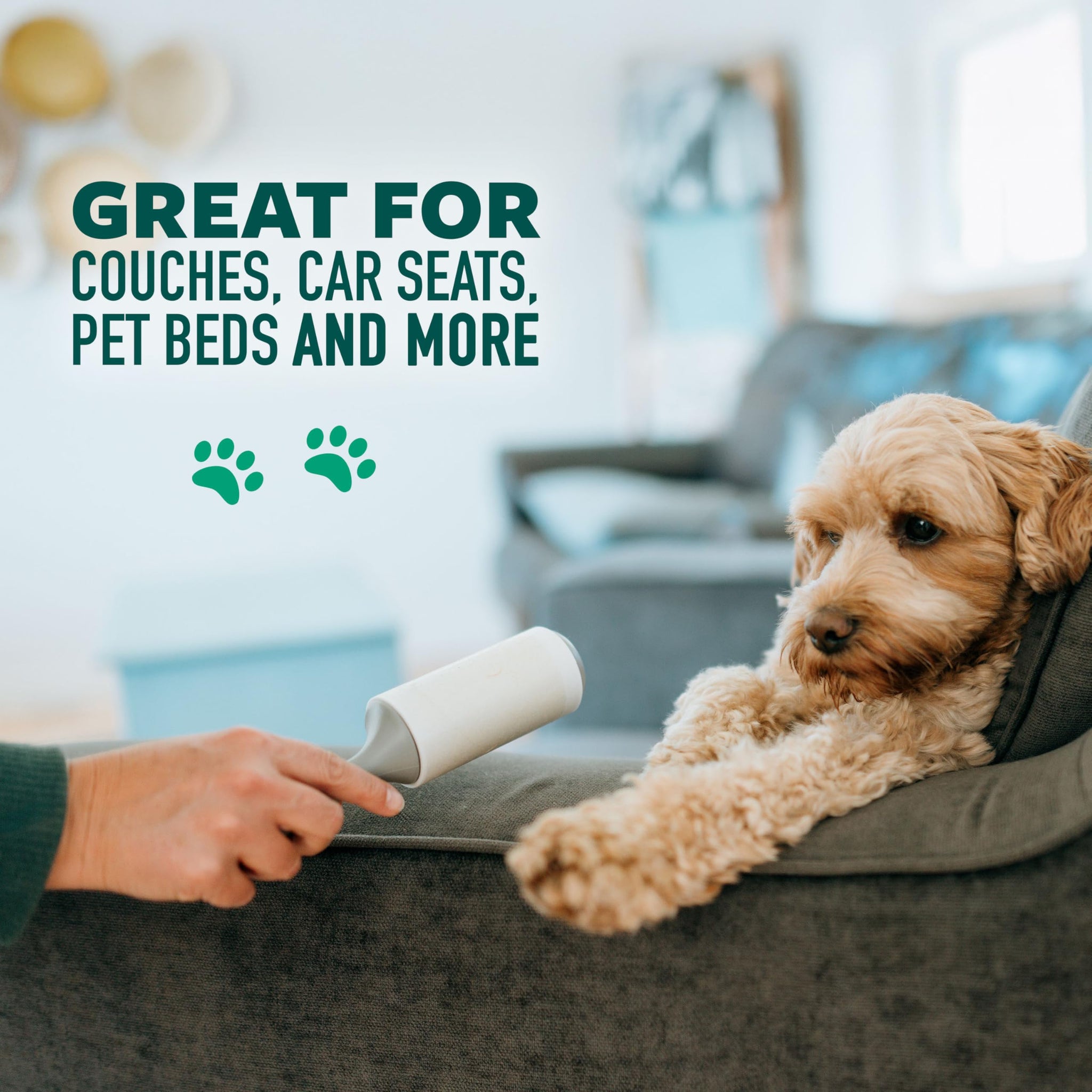 Scotch-Brite Pet Hair Pickup Lint Roller with Handle, 50% Stickier, Fur and Fluff Remover for Clothes Furniture and Pet Beds, 12 Pack, 360 Easy-Tear