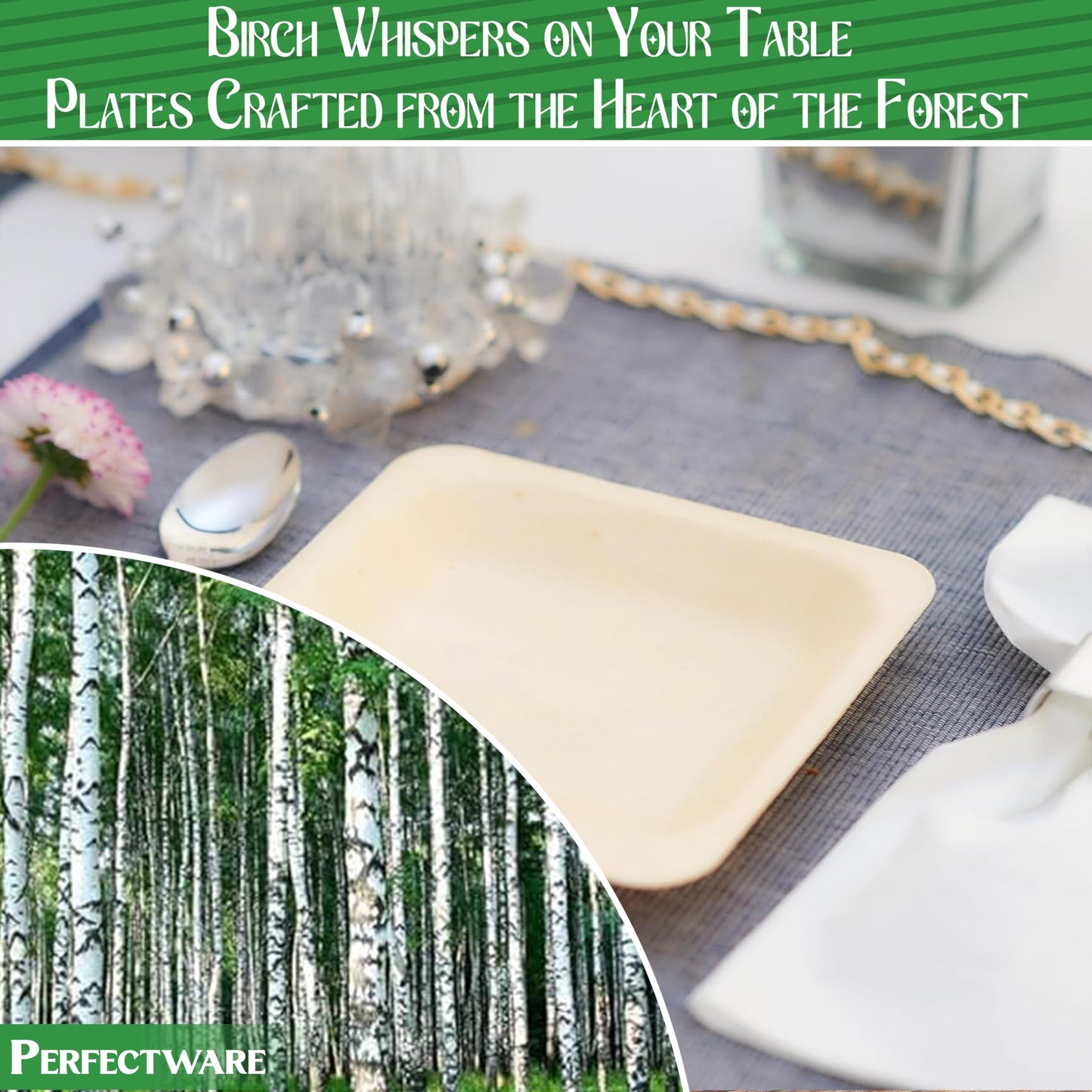 Perfectware Earth Friendly All Natural Premium Quality 100% Compostable & Biodegradable 5 Inch Birch Wood Disposable Plates. Great for Parties
