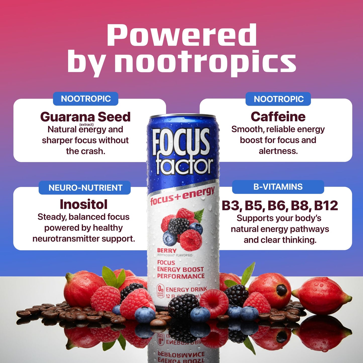Focus Factor Energy Drink - 12 x 355ml Cans (Berry Flavour) - with Focus + Energy - Lightly Carbonated, Sugar Free, Low Calorie with Vitamins B6 & B12