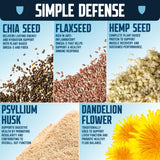 Defender Vegan Protein Bar, Coconut Almond Chocolate Chip, Plant Based Snack or Breakfast Bars, Psyllium Husk, Dandelion Root, High Fiber, Non GMO