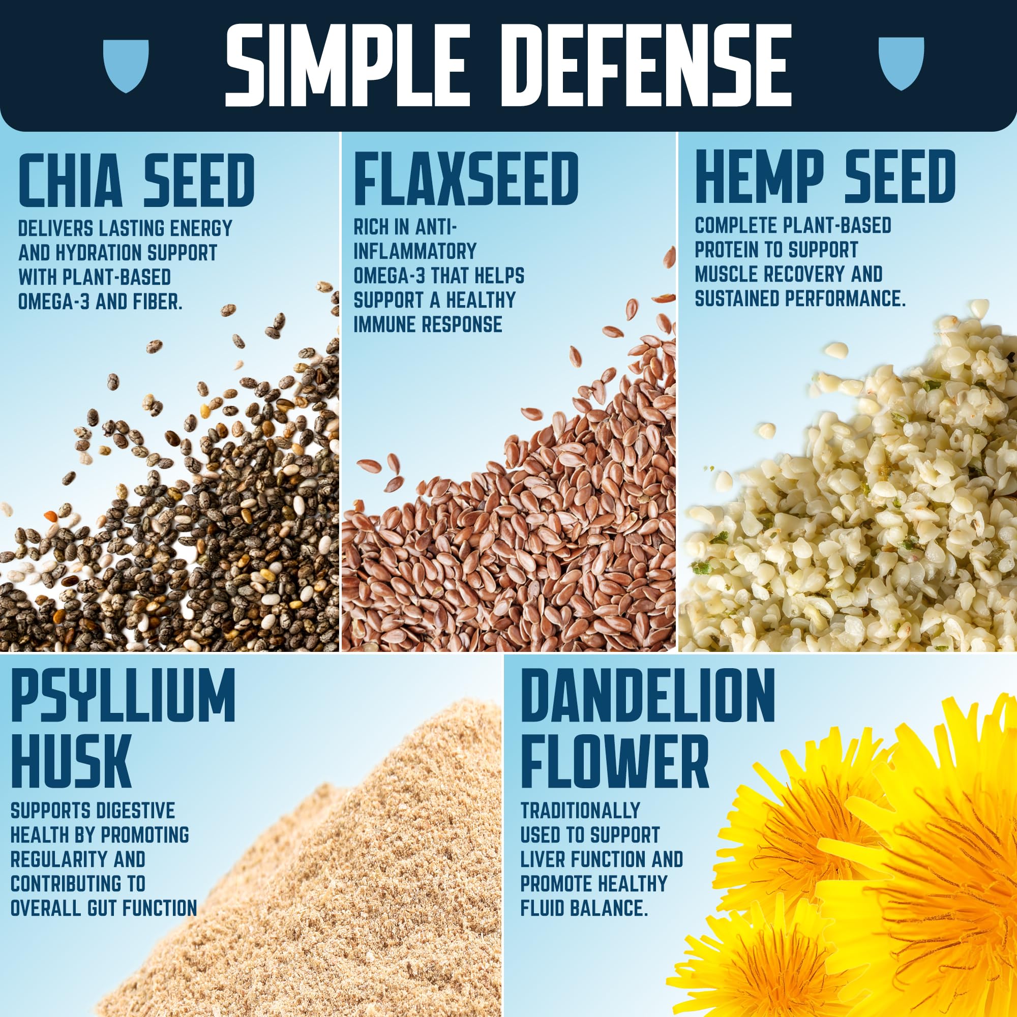 Defender Vegan Protein Bar, Coconut Almond Chocolate Chip, Plant Based Snack or Breakfast Bars, Psyllium Husk, Dandelion Root, High Fiber, Non GMO
