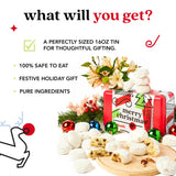 David’s Cookies Merry Christmas Butter Pecan Meltaway Cookies in Sweet Sampler Tin - Soft Gourmet Butter Cookies with Crunchy Pecans - Festive Holiday