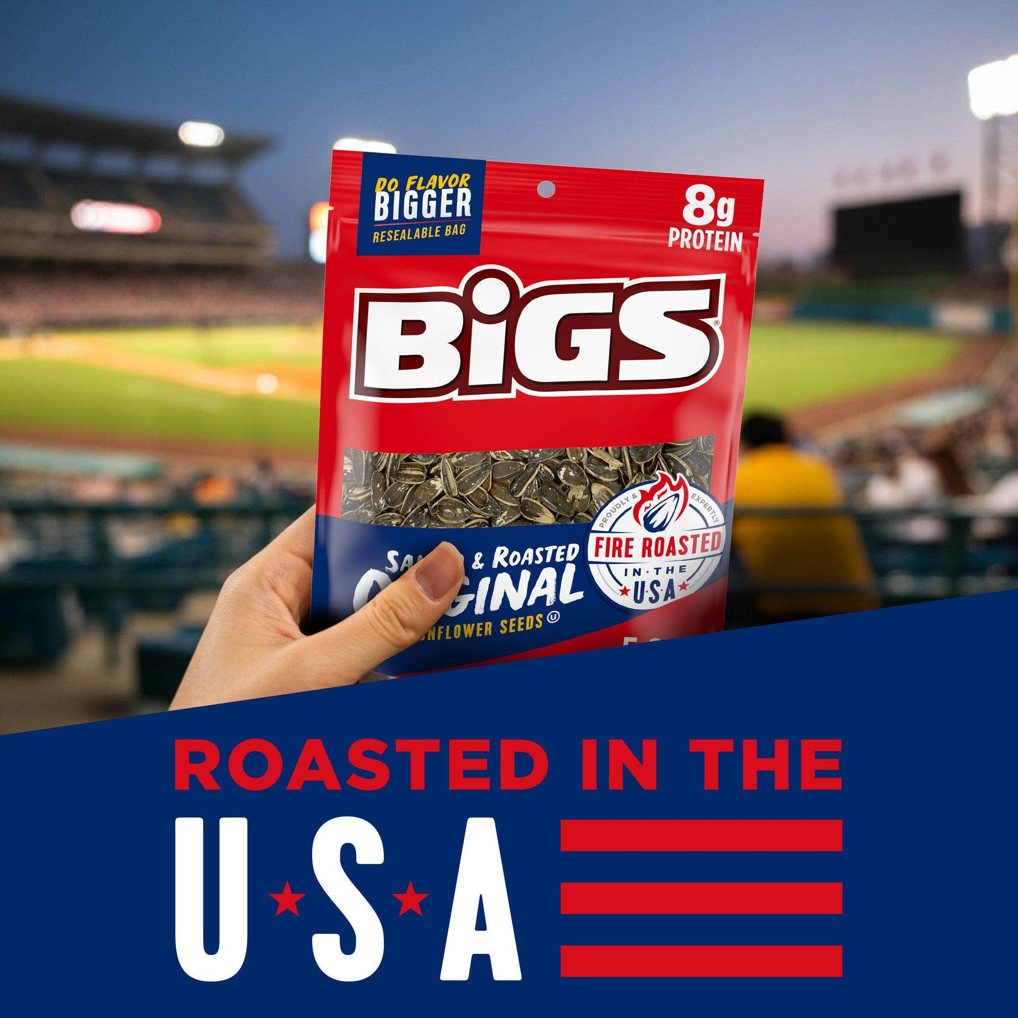 BIGS Original Salted & Roasted Sunflower Seeds, 5.35-Ounce Bags (Pack of 12)