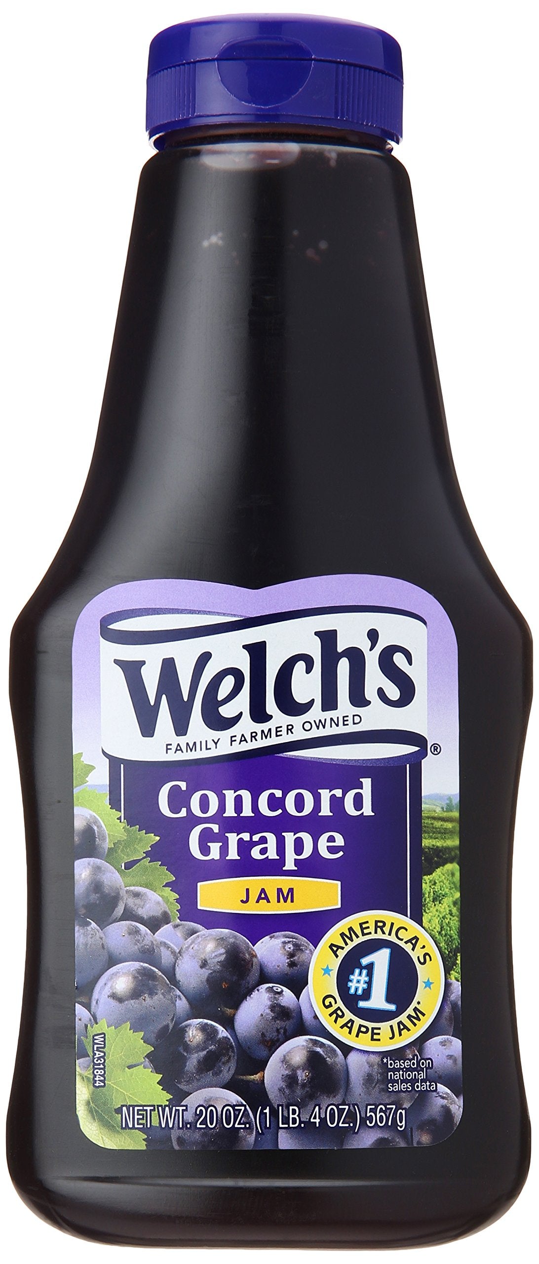 Welch's Squeeze Grape Jam, 20 Oz Bottle