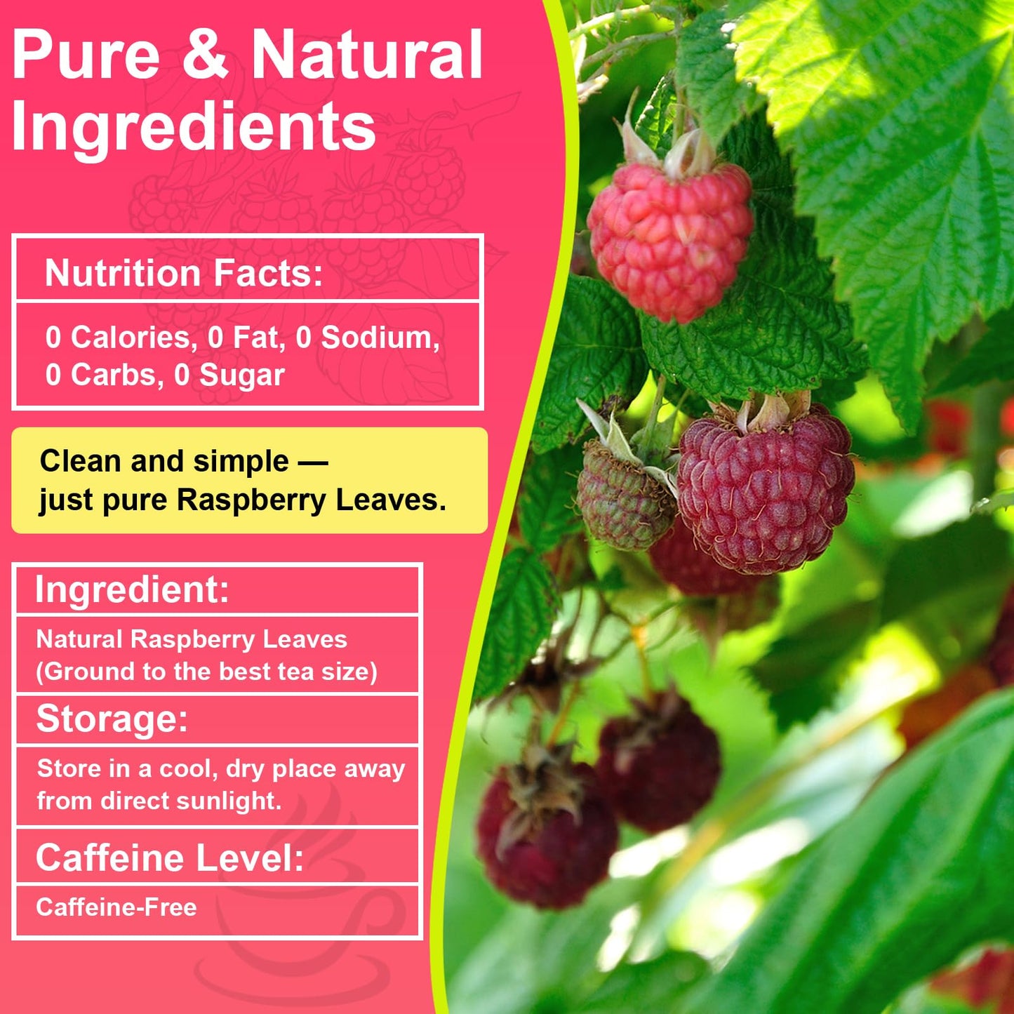 Raspberry Leaf Tea Bags 60 Count - 100% Pure Leaves | Natural Women’s Wellness Cycle Support Herbal Tea | Loose Leaf Caffeine Free