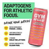 GYM WEED Athletic Focus Drink with KSM-66 Ashwagandha, Lion's Mane Mushroom, L-Theanine, 200mg Green Tea Caffeine with Natural Sweeteners Rainbow