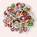 J0lly Ranchrs Lollipops-1.5 lbs Assorted Flavors Green Apple, Cherry, Watermelon and Pink Lemonade - Individually Wrapped Candy for Parties, Events