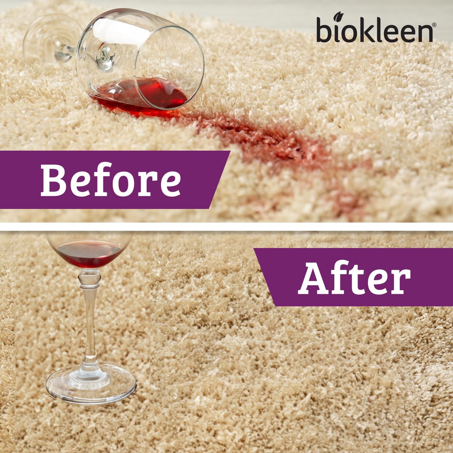 Biokleen Bac-Out Stain Remover for Carpet, Clothes - 32 Ounce and Gallon Refill - Enzymatic, for Pet Stains, Laundry, Diapers, Wine, Carpets, & More