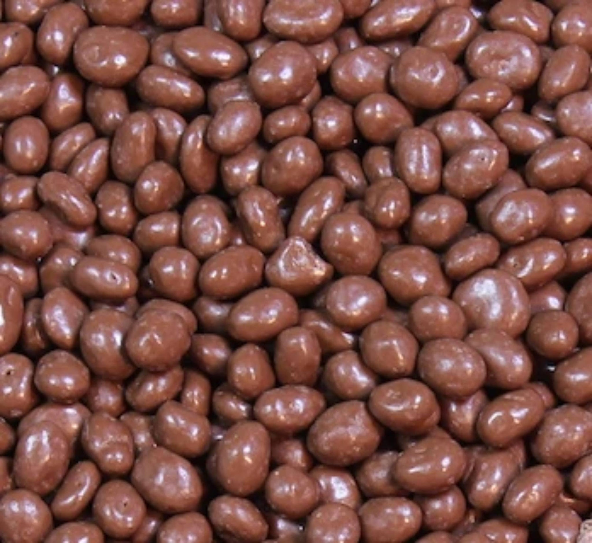 Milk Chocolate Covered Raisins Bulk-Juicy, Plump Milk Chocolate Raisins by Queen City Candy Cave (1 Pound)