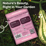 SVI 35 Cushaw Green Striped Pumpkin Seeds (Cucurbita mixta) - Cushaw Squash, Non GMO Winter Squash Seed Packets - Heirloom Vegetable Seeds