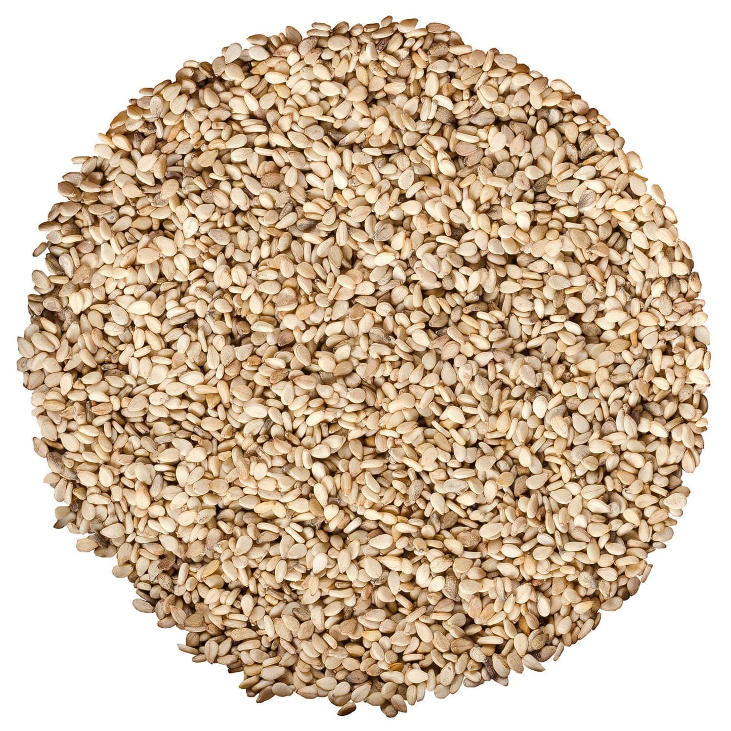 Food to Live Organic Unhulled Sesame Seeds, 6 Pounds - Non-GMO, Whole Natural Raw White Sesame Seeds, Kosher, Vegan, Bulk, Rich in Dietary Fiber