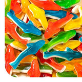 Gummy Sharks - 1 Pound Pack - Assorted Fruit Shark Gummies - Fish Candy for Goodie Bags, Gifting, Pool Parties, Snacking & Dessert Decorating - Chewy