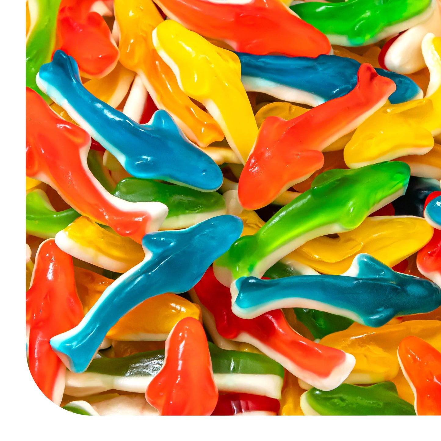 Gummy Sharks - 1 Pound Pack - Assorted Fruit Shark Gummies - Fish Candy for Goodie Bags, Gifting, Pool Parties, Snacking & Dessert Decorating - Chewy