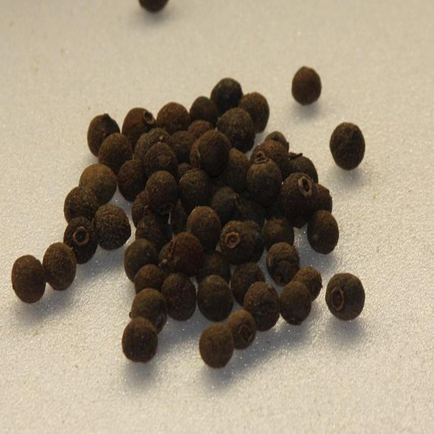 Allspice Whole - 5.01 lb