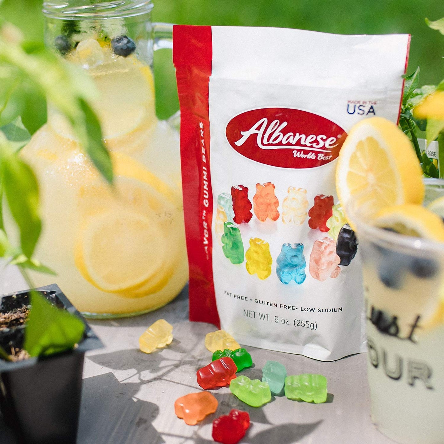 Albanese World's Best 12 Flavor Gummi Bears | 9oz of Candy | 12 Unique Flavors, Gluten Free, Fat Free, Soft and Chewy Gummy | Cherry, Blue Raspberry