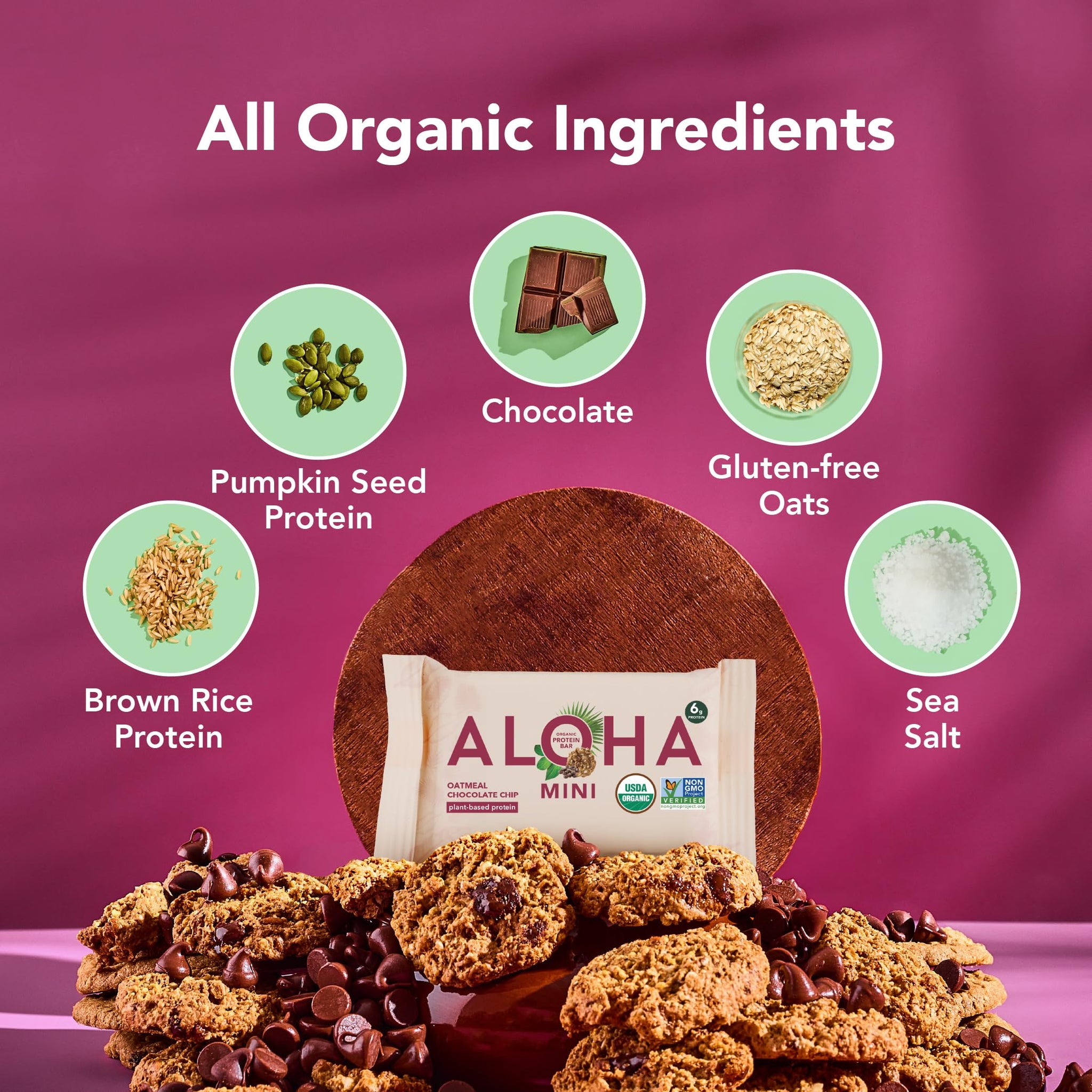 ALOHA Organic Plant Based Protein Bar MINIS | Oatmeal Chocolate Chip | GLP-1 Friendly, 20 Count, 24g Bars | Vegan, Low Sugar, Gluten Free, Low Carb