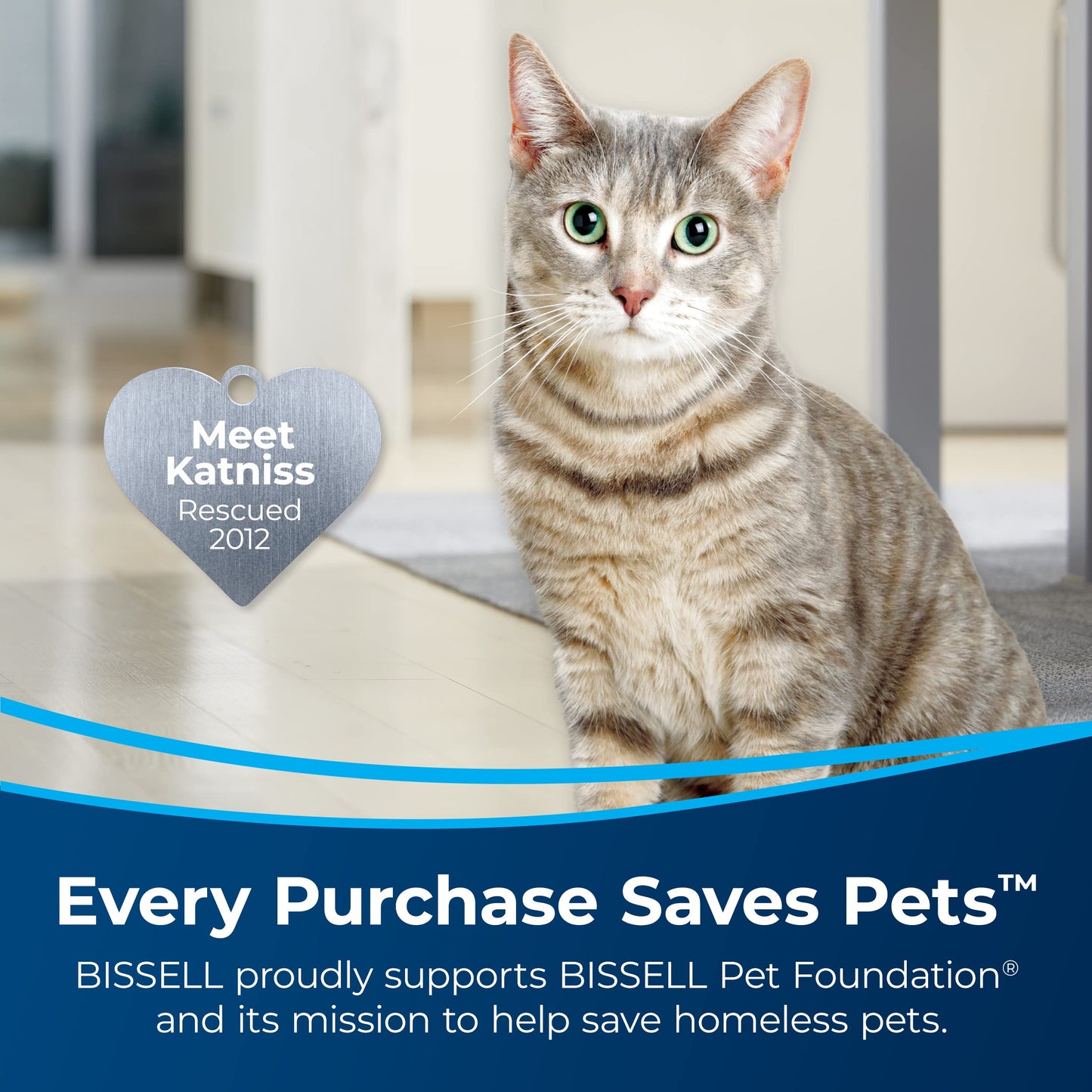 Bissell Pet Stain & Odor plus Antibacterial 2 in 1 Carpet Formula