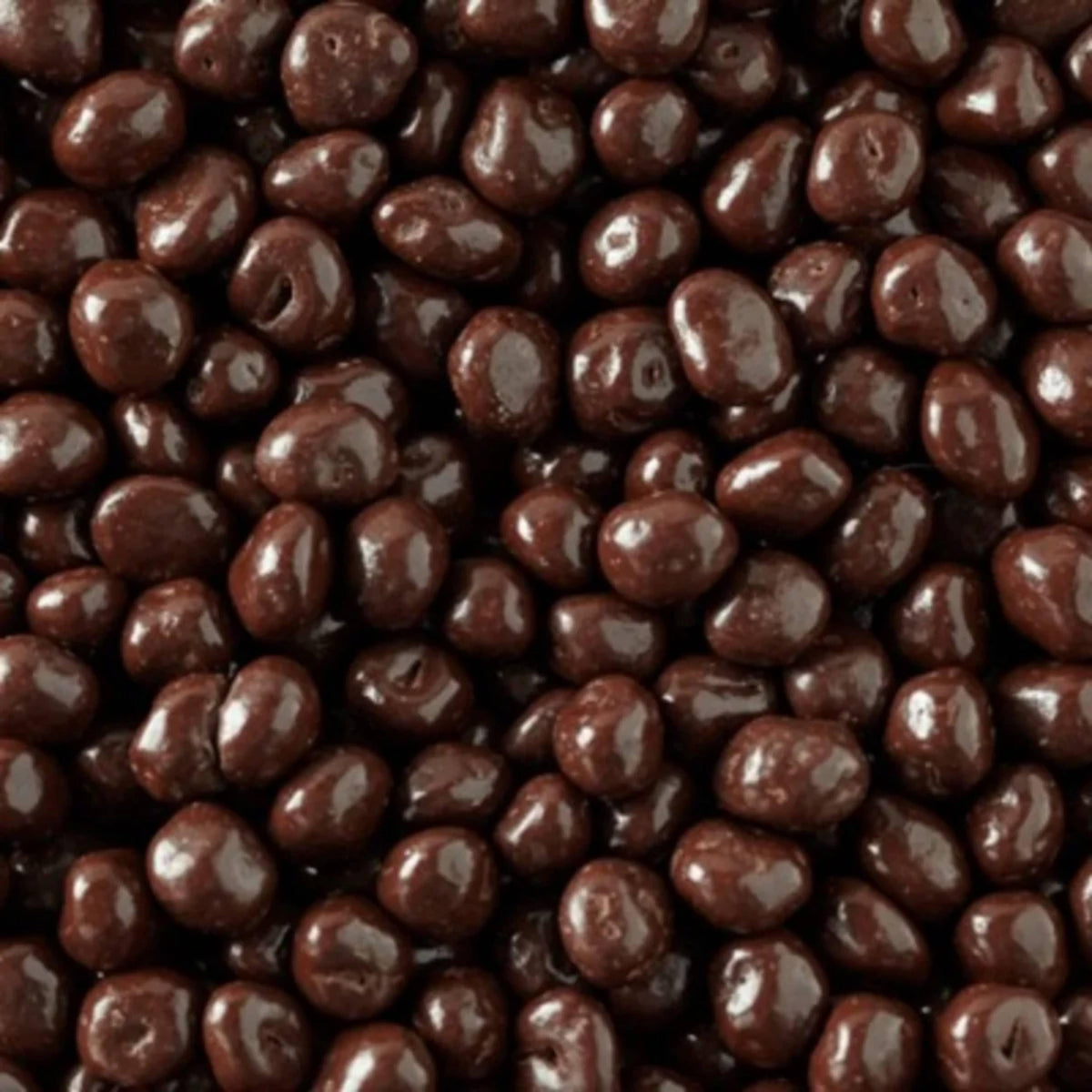 Dark Chocolate Covered Raisins, Bulk Dark Chocolate Covered Candy, 1 lb